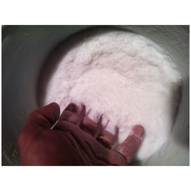 silice colloidale carica 2