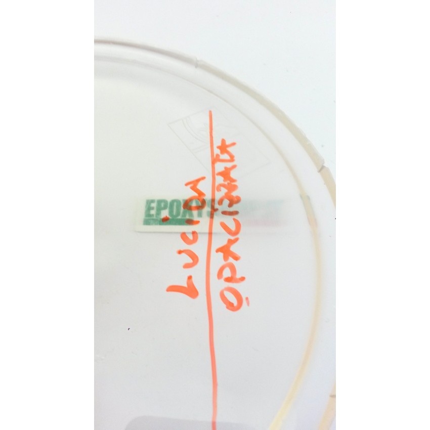 carta vetrata vetroresina epossidica