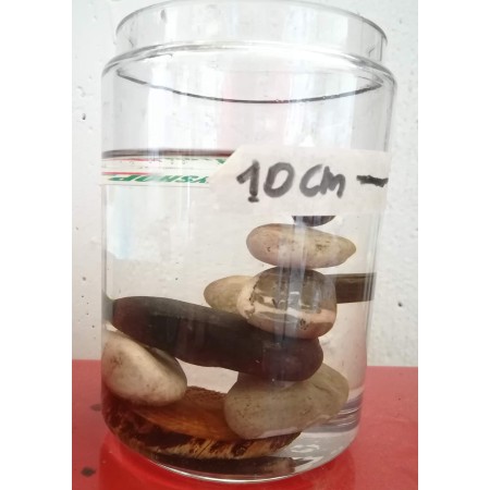 resina colata alto spessore per tavoli legno, 10cm , river table ,cristallo, no bolle