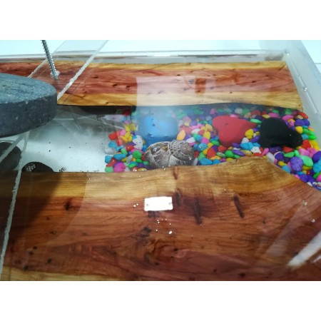 resina colata alto spessore per tavoli legno, 10cm , river table ,cristallo, no bolle