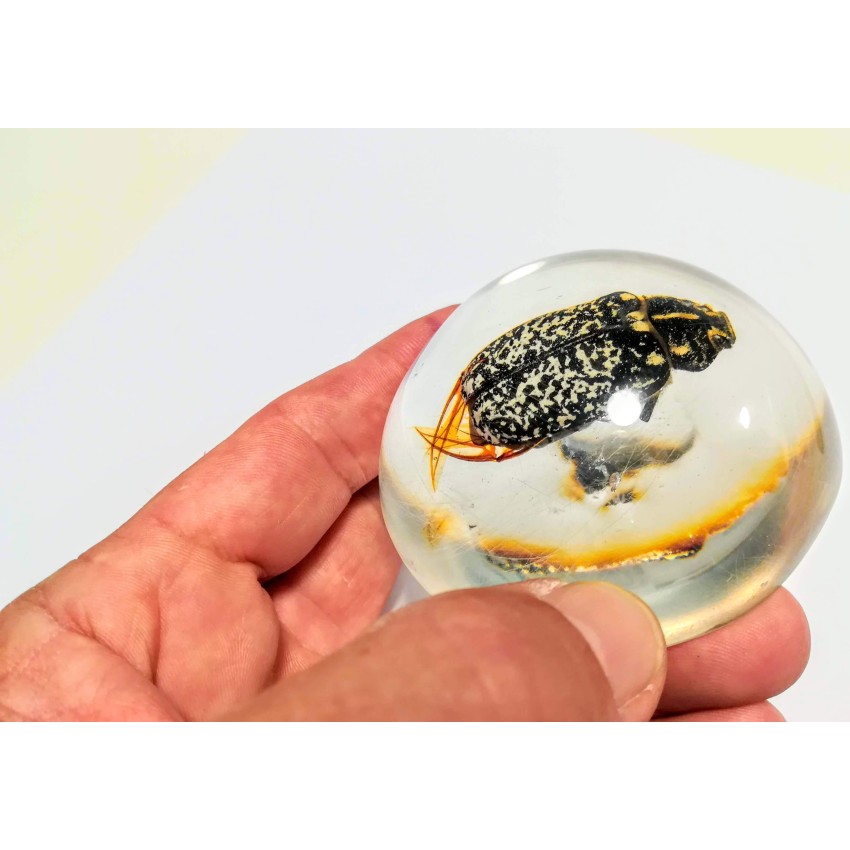 lucido trasparente spray PER RESINA